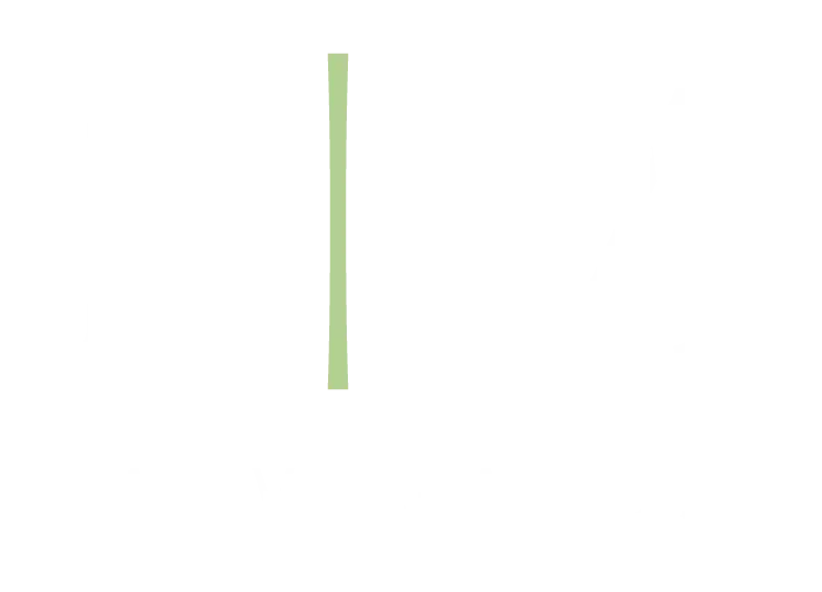 Braga Merlo